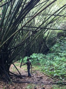 sao tome3
