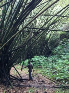 sao tome3